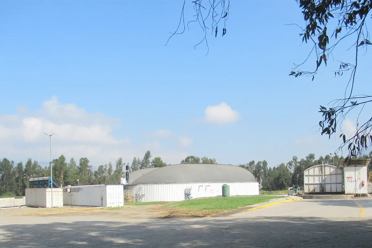 Proyecto Planta de Biogás, Mostazal