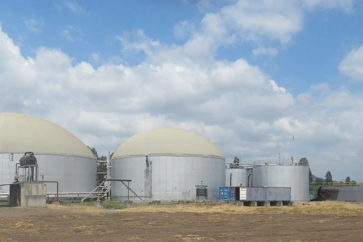 Plan de seguimiento ambiental Planta de Biogás, Los Angeles